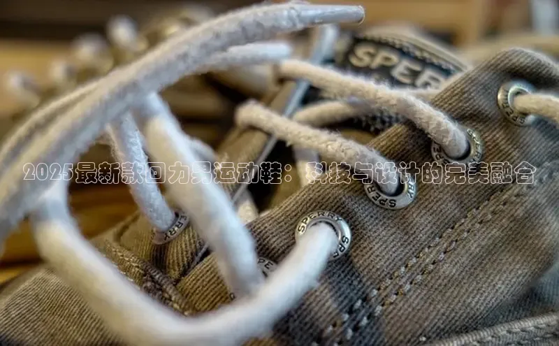 XCSport网页版入口