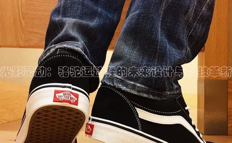 XCsports娱乐